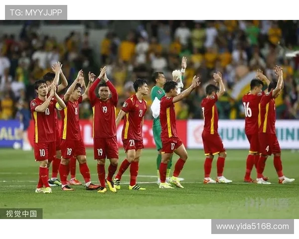 越南意甲足球队情况及国际合作介绍