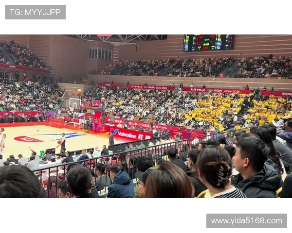 陕西省篮球队在CBA联赛中的地位与发展分析